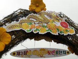 10월 12일(목), 장성 황룡강노란꽃 잔치, 정읍 구절초축제