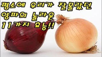 양파의 효능