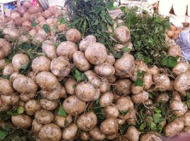 얌빈효능 대표적인것 >정리<