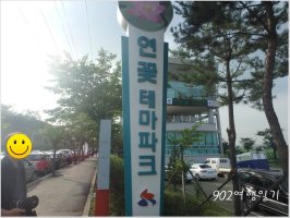 【서울 근교 가볼만한곳】시흥 관곡지 연꽃축제