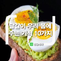 달걀이 우리 몸에 주는 기적 10가지