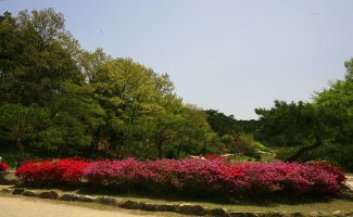 아름다운 고창읍성