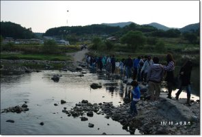 정읍 구절초 축제