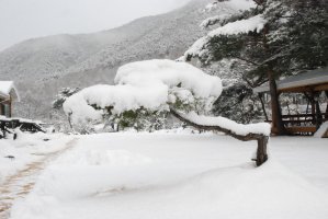 산골짝펜션