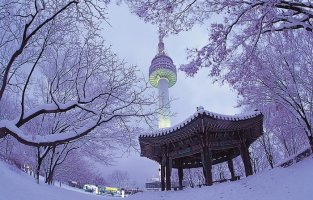 세월의 나이에 슬퍼하지 말자