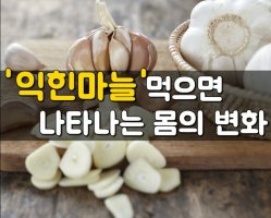 '익힌 마늘' 먹으면 나타나는 몸의 변화 11가지