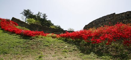 전북 고창읍성...