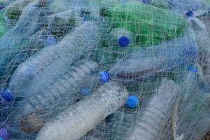 지구의 날 의미, 소등 시간