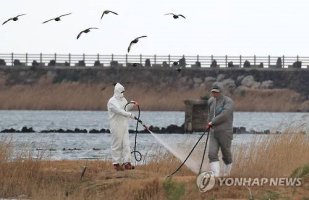 빠른 어떨까...청정 제주도 AI 빠진