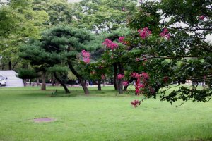 [전북 남원] 오작교에서 사랑을 " 광한루원"