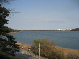 강릉 경포대가는 길