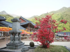 바람부는 산사 / 정목스님