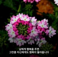 관계(關係) 의 소중함