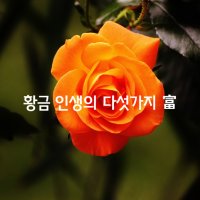 황금 인생을 만드는 다섯가지 富