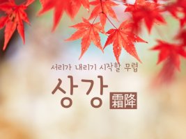 서리가 내린다는 상강! 가을 추천 메뉴 부산아지매국밥의 국밥메뉴