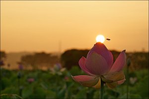 관곡지7.20