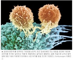 신세대 이미지