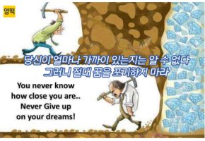꿈을 절대 포기하지 마라! 인형고양이