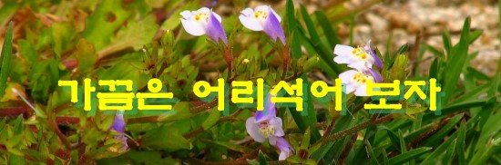 가끔은 어리석어 보자