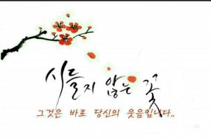 당신에게 내마음을 드리고 싶습니다.