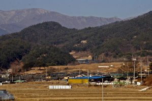 황산고가마을의 전통한과(농한기 사업)