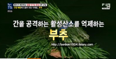 천기누설 간암 부추 효능 먹는법 활성산소제거음식 부추데치기 데치는시간