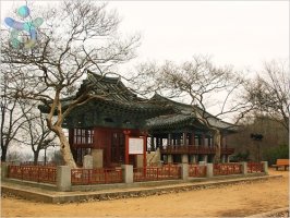 느티나무의 전통문화 답사기3 (전주 한옥마을)