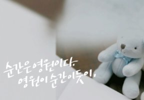 [좋은글] 걱정을 버리는 4가지 방법