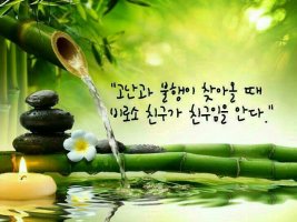 "소주 한잔 할래?" 라는말