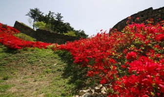 고창읍성!