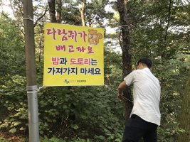 다람쥐신발 이미지