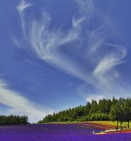 A Thousand Winds * Hayley Westenra