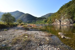 정읍 구절초 축제에서..