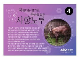 [웹진 9호] 사향노루를 보존하려면?
