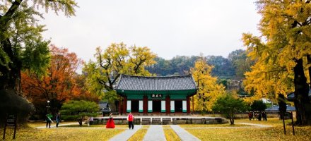 전주향교에 내린 서설(瑞雪)