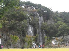 정읍구절초축제