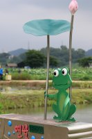 [관곡지] 연꽃테마파크 관곡지에도 연꽃이피어나고있다.