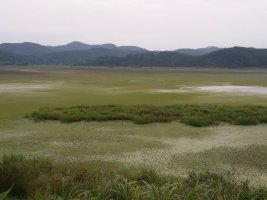 경상남도 창년군 우포늪