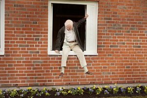창문 넘어 도망친 100세 노인(2013, 스웨덴)