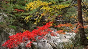 2017 가을단풍여행 – 단풍이라면 가야할 곳