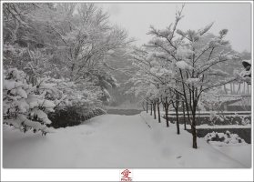 강릉 선교장 눈내리는 풍경