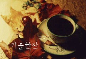 빛고운 이미지