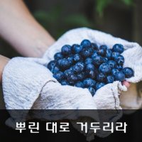 2020년02월05일 수요일/뿌린대로 거두리라