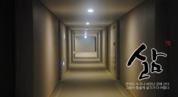 바라기 이미지