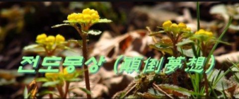 몽상 이미지