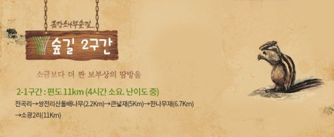 18.7/29 경북 울진 금강소나무 숲길 트레킹 2구간코스