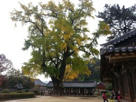 전주 향교