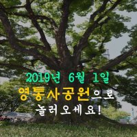 제14회청명단오제