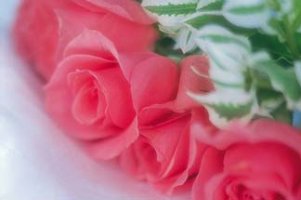 들꽃이 장미보다 아름다운 이유