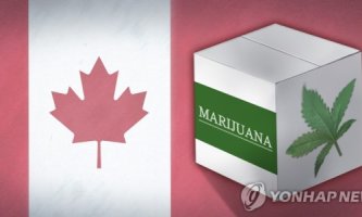 마리화나 합법화 캐나다...한국인이 피면 처벌 "주의보"